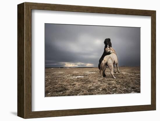 Play-Bragi Ingibergsson --Framed Photographic Print