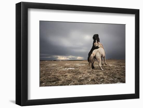 Play-Bragi Ingibergsson --Framed Photographic Print