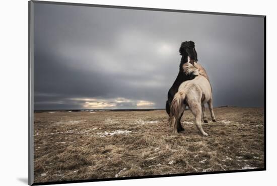 Play-Bragi Ingibergsson --Mounted Photographic Print