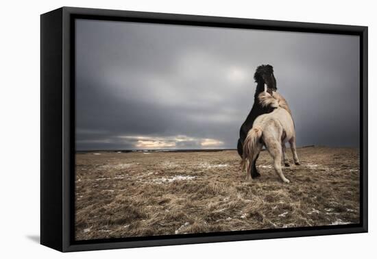 Play-Bragi Ingibergsson --Framed Premier Image Canvas