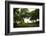 Playa Coyote Beach.-Stefano Amantini-Framed Photographic Print