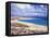 Playa De Jandia, Jandia Peninsula, Fuerteventura, Canary Islands, Spain, Atlantic, Europe-Nigel Francis-Framed Premier Image Canvas