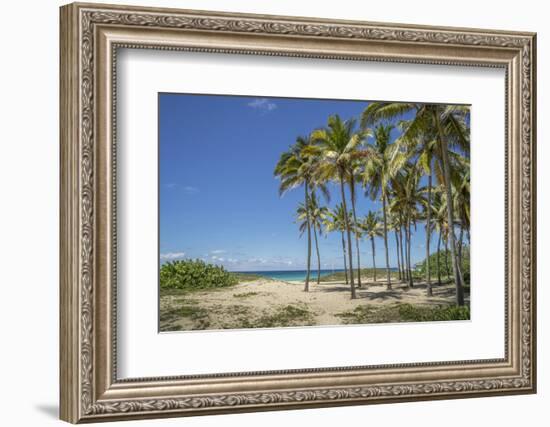 Playa De L'Este, Havana, Cuba, West Indies, Caribbean, Central America-Angelo Cavalli-Framed Photographic Print