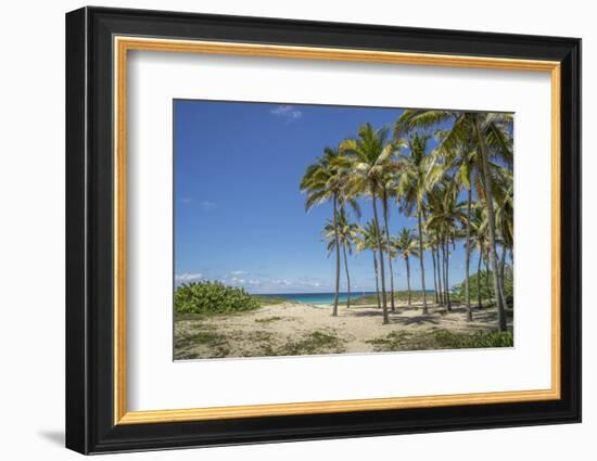 Playa De L'Este, Havana, Cuba, West Indies, Caribbean, Central America-Angelo Cavalli-Framed Photographic Print