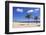 Playa De Las Teresitas Beach, San Andres, Tenerife, Canary Islands, Spain, Europe-Markus Lange-Framed Photographic Print