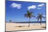 Playa De Las Teresitas Beach, San Andres, Tenerife, Canary Islands, Spain, Europe-Markus Lange-Mounted Photographic Print