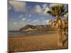 Playa de Las Teresitas in Early Morning Light, Tenerife, Canary Islands, Spain, Europe-Ian Egner-Mounted Photographic Print