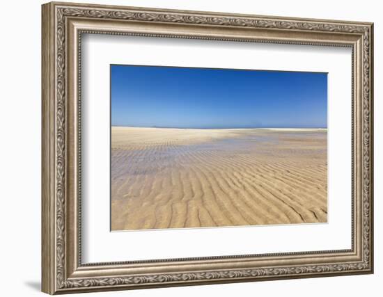 Playa De Sotavento, Risco Del Paso, Fuerteventura, Canary Islands, Spain, Atlantic, Europe-Markus Lange-Framed Photographic Print