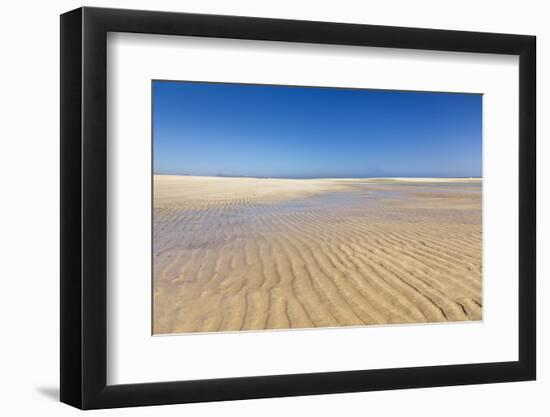 Playa De Sotavento, Risco Del Paso, Fuerteventura, Canary Islands, Spain, Atlantic, Europe-Markus Lange-Framed Photographic Print