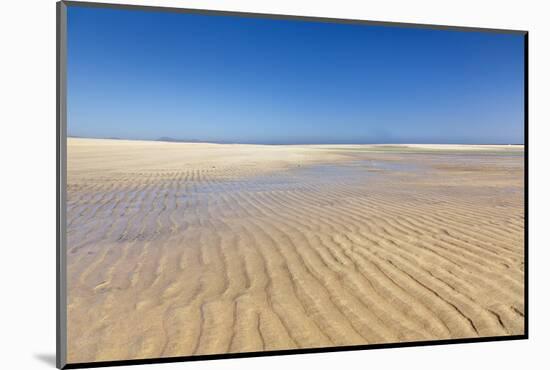 Playa De Sotavento, Risco Del Paso, Fuerteventura, Canary Islands, Spain, Atlantic, Europe-Markus Lange-Mounted Photographic Print