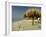 Playa Del Carmen, Caribbean Peninsula, Mexico, Central America-Robert Francis-Framed Photographic Print