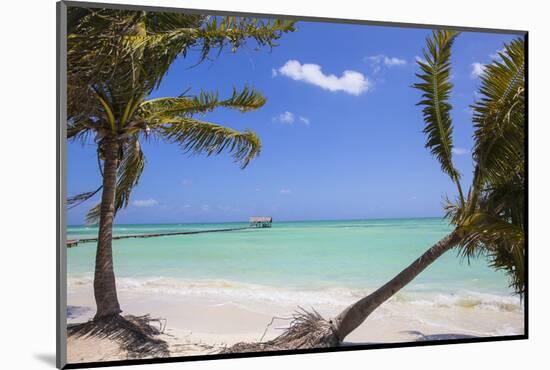 Playa El Paso, Cayo Guillermo, Jardines Del Rey, Ciego De Avila Province, Cuba-Jane Sweeney-Mounted Photographic Print