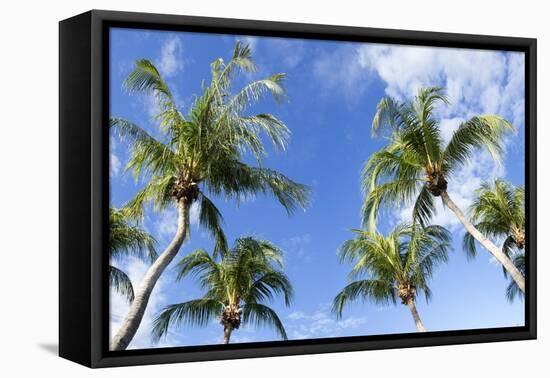 Playa Flamingo Beach.-Stefano Amantini-Framed Premier Image Canvas