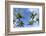 Playa Flamingo Beach.-Stefano Amantini-Framed Photographic Print