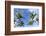 Playa Flamingo Beach.-Stefano Amantini-Framed Photographic Print