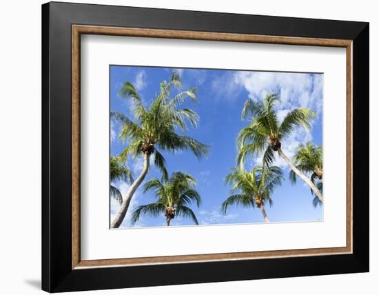 Playa Flamingo Beach.-Stefano Amantini-Framed Photographic Print