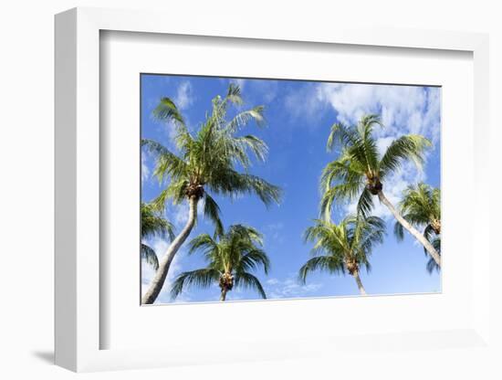 Playa Flamingo Beach.-Stefano Amantini-Framed Photographic Print