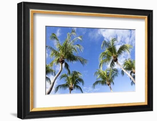 Playa Flamingo Beach.-Stefano Amantini-Framed Photographic Print