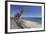 Playa Grande Beach, Puerto Del Carmen, Lanzarote, Canary Islands, Spain, Atlantic, Europe-Markus Lange-Framed Photographic Print