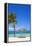 Playa Guardalvaca, Holguin Province, Cuba, West Indies, Caribbean, Central America-Jane Sweeney-Framed Premier Image Canvas