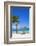 Playa Guardalvaca, Holguin Province, Cuba, West Indies, Caribbean, Central America-Jane Sweeney-Framed Photographic Print