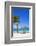 Playa Guardalvaca, Holguin Province, Cuba, West Indies, Caribbean, Central America-Jane Sweeney-Framed Photographic Print