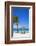 Playa Guardalvaca, Holguin Province, Cuba, West Indies, Caribbean, Central America-Jane Sweeney-Framed Photographic Print