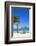 Playa Guardalvaca, Holguin Province, Cuba, West Indies, Caribbean, Central America-Jane Sweeney-Framed Photographic Print