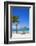 Playa Guardalvaca, Holguin Province, Cuba, West Indies, Caribbean, Central America-Jane Sweeney-Framed Photographic Print