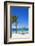 Playa Guardalvaca, Holguin Province, Cuba, West Indies, Caribbean, Central America-Jane Sweeney-Framed Photographic Print