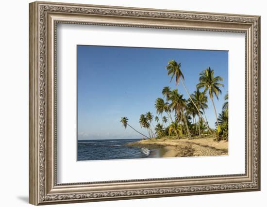 Playa Los Bohios, Maunabo, south coast of Puerto Rico, Caribbean, Central America-Tony Waltham-Framed Photographic Print