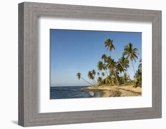 Playa Los Bohios, Maunabo, south coast of Puerto Rico, Caribbean, Central America-Tony Waltham-Framed Photographic Print