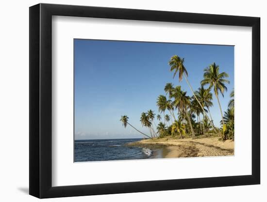 Playa Los Bohios, Maunabo, south coast of Puerto Rico, Caribbean, Central America-Tony Waltham-Framed Photographic Print