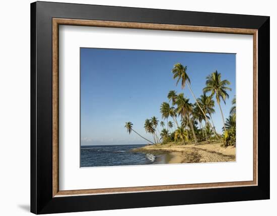 Playa Los Bohios, Maunabo, south coast of Puerto Rico, Caribbean, Central America-Tony Waltham-Framed Photographic Print