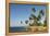 Playa Los Bohios, Maunabo, south coast of Puerto Rico, Caribbean, Central America-Tony Waltham-Framed Premier Image Canvas