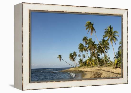 Playa Los Bohios, Maunabo, south coast of Puerto Rico, Caribbean, Central America-Tony Waltham-Framed Premier Image Canvas