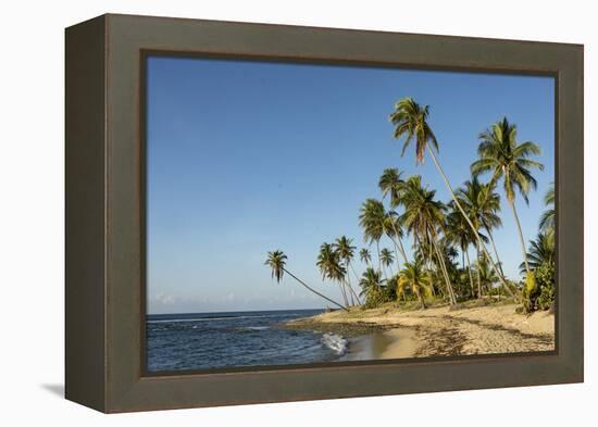 Playa Los Bohios, Maunabo, south coast of Puerto Rico, Caribbean, Central America-Tony Waltham-Framed Premier Image Canvas