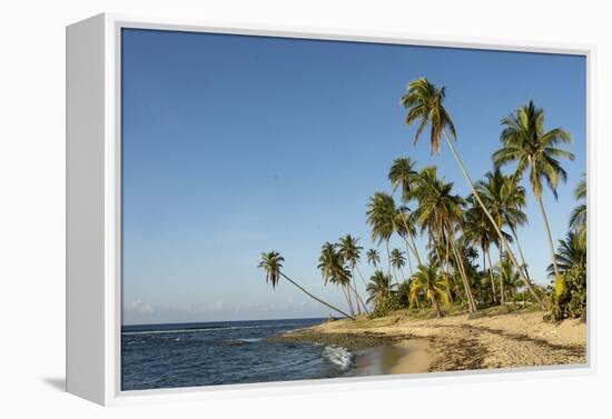 Playa Los Bohios, Maunabo, south coast of Puerto Rico, Caribbean, Central America-Tony Waltham-Framed Premier Image Canvas