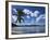 Playa Rincon Beach, Las Galeras, Samana Peninsula, Dominican Republic-Walter Bibikow-Framed Photographic Print