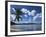 Playa Rincon Beach, Las Galeras, Samana Peninsula, Dominican Republic-Walter Bibikow-Framed Photographic Print