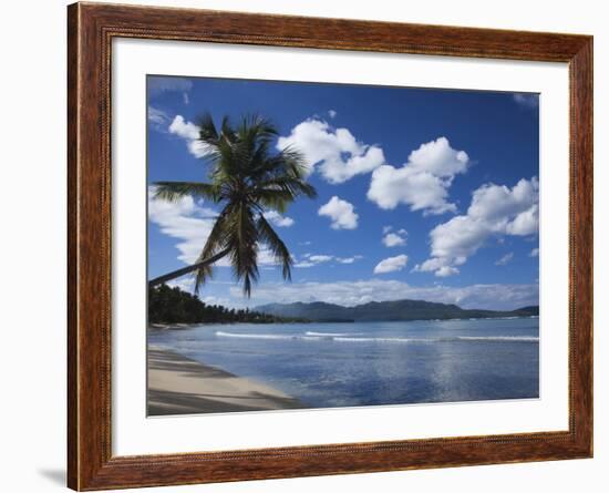 Playa Rincon Beach, Las Galeras, Samana Peninsula, Dominican Republic-Walter Bibikow-Framed Photographic Print