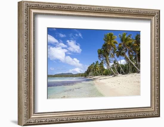 Playa Rincon, Samana Peninsula, Dominican Republic, West Indies, Caribbean, Central America-Jane Sweeney-Framed Photographic Print