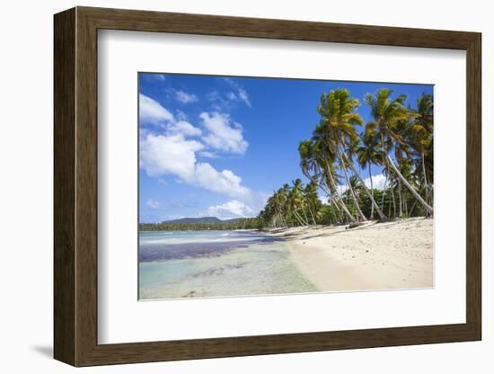 Playa Rincon, Samana Peninsula, Dominican Republic, West Indies, Caribbean, Central America-Jane Sweeney-Framed Photographic Print