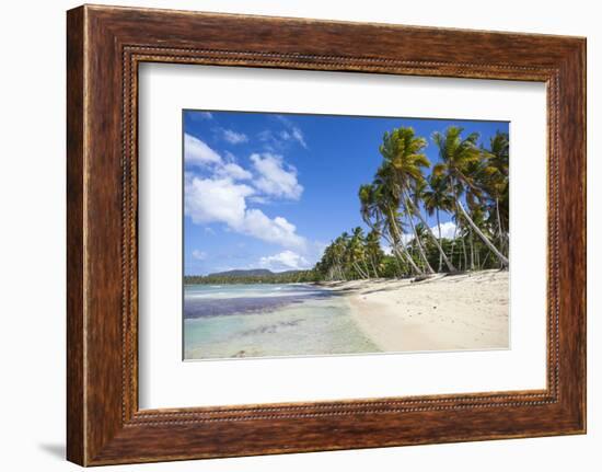 Playa Rincon, Samana Peninsula, Dominican Republic, West Indies, Caribbean, Central America-Jane Sweeney-Framed Photographic Print