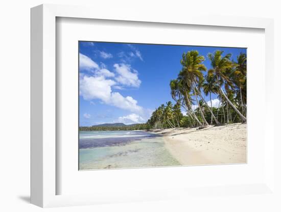 Playa Rincon, Samana Peninsula, Dominican Republic, West Indies, Caribbean, Central America-Jane Sweeney-Framed Photographic Print