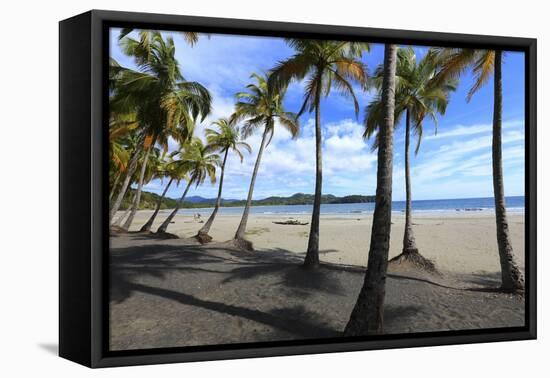 Playa Samara Beach-Stefano Amantini-Framed Premier Image Canvas