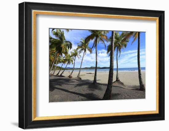 Playa Samara Beach-Stefano Amantini-Framed Photographic Print