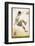 Player Clears the Ball in an Acrobatic Manner-null-Framed Photographic Print