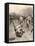 Player Making a Tackle in a Rugby Game-Ernest Prater-Framed Stretched Canvas