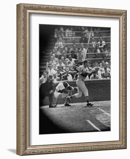 Player Stan Musial Making His 3000Th. Hit-null-Framed Premium Photographic Print